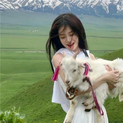 霸王贵妃